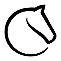 lichess.org