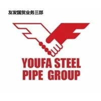 Tianjin Youfa Steel Pipe Group