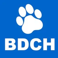 Black Dog Camera Hire