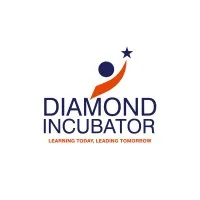 The Diamond Incubator Ltd