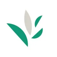 Decision Innovation Solutions