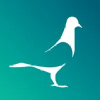 Pidgeon & Co.