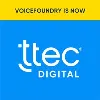 VoiceFoundry VoiceFoundry
