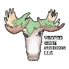 Yooper Game Studios LLC Yooper Game Studios LLC