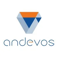 ANDEVOS Bilgi Teknolojileri A.Ş.