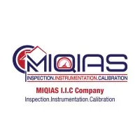 Miqias I.I.C Services Ltd (Company)