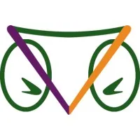 Camaleon Systems Inc.