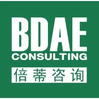 BDAE Consulting