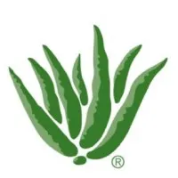 Aloe Up Sun and Skin Care Products