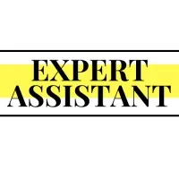 Expert Assistant