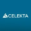 CELEKTA CONSULTING CELEKTA CONSULTING
