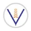 Vital Solutions International Vital Solutions International