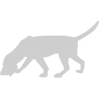 ASEI Engineering, Inc.