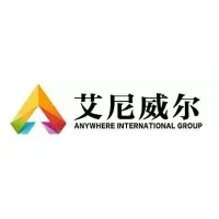 ANYWHERE INTERNATIONAL GROUP