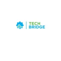 TechBridge Consulting 