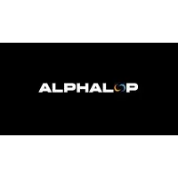 ALPHALOOP IT PVT LTD ALPHALOOP IT PVT LTD