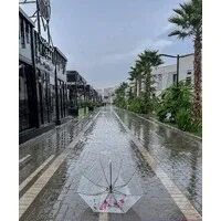 King Faisal Medical Complex (KFMC)    مجمع الملك فيصل الطبي بالطائف.