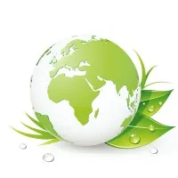 Independent Environmental Professional