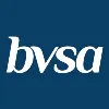 BVSA Audit Incorporated