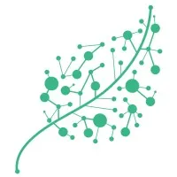 New Life Scientific New Life Scientific