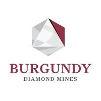 Inactive Burgundy Diamond Mines LinkedIn page