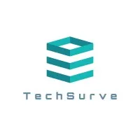 TechSurve Co.