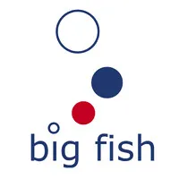 Big Fish International email format