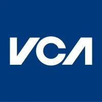 VCA Structural VCA Structural