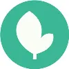 Sassafras Tech Collective