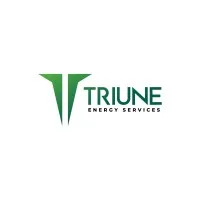Triune Energy Services Pvt. Ltd.