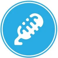 Taylor Robinson Music, LLC