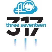 317 Virtual Services, LLC