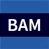 BAM Technologies, LLC BAM Technologies, LLC