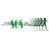Specialized Orthopedic Solutions Specialized Orthopedic Solutions