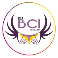 PET BCI UFSCar