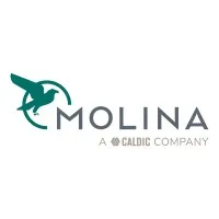 Ricardo Molina email format