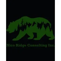 Nico Ridge Consulting Inc