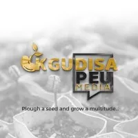 Kgudisa Peu Media