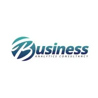 Business Analytics Consultancy, LLC