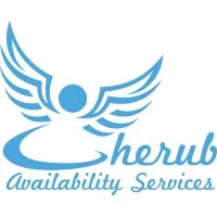 Cherub Availability Services, LLC