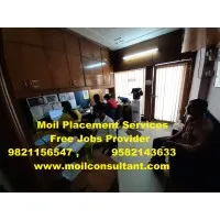 Moil Consultant