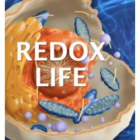 Redox Signaling Molecules