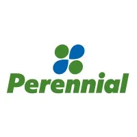 Perennial Sport & Turf Perennial Sport & Turf