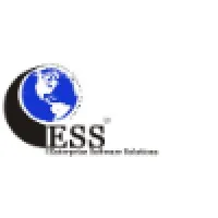 Enterprise Software Solutions