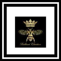 Brilliant Elevation LLC