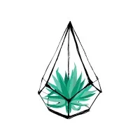 Plant Collective Plant Collective