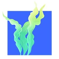 Seaweed Studio