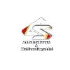 Allsoft Infotech & Multimedia Pvt. Ltd. Allsoft Infotech & Multimedia Pvt. Ltd.