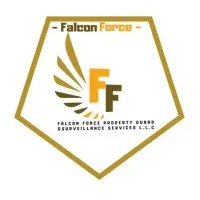 Falcon Force Property Guard & Surveillance LLC