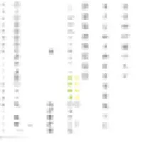 Club At New Territory